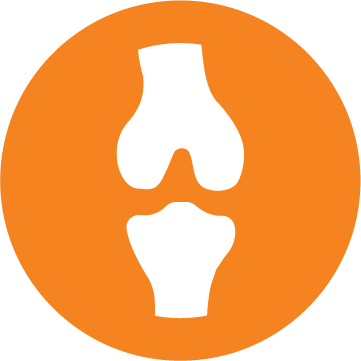 Icône Soutien des os et des articulations