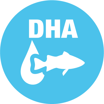 Icône Développement du cerveau et des yeux